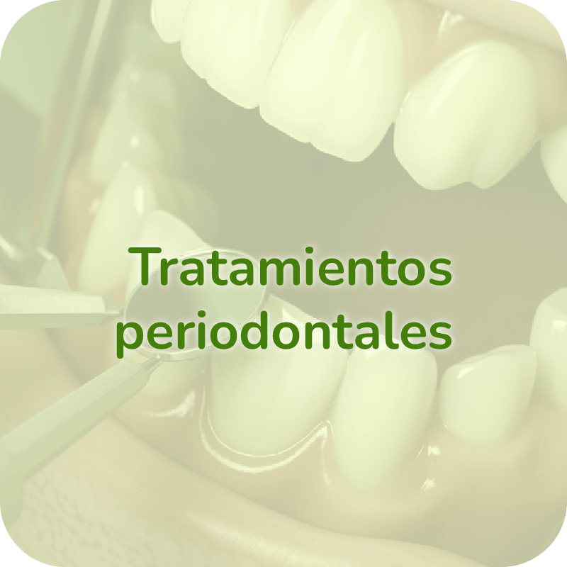 Dp Mesa De Trabajo Copia